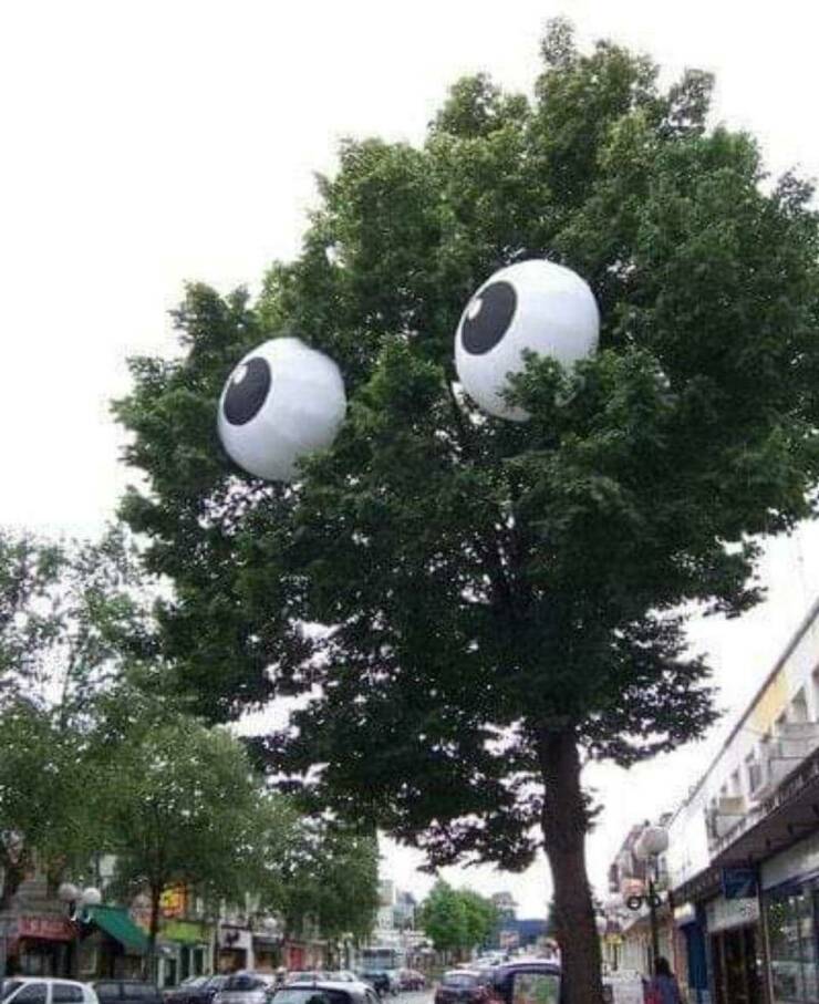 Morning Picdump