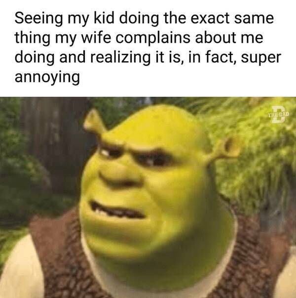 Parenthood Memes Every New Mom And Dad Will Love