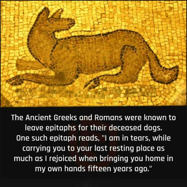 Too Interesting To Ignore: Random Facts That Will Wow You