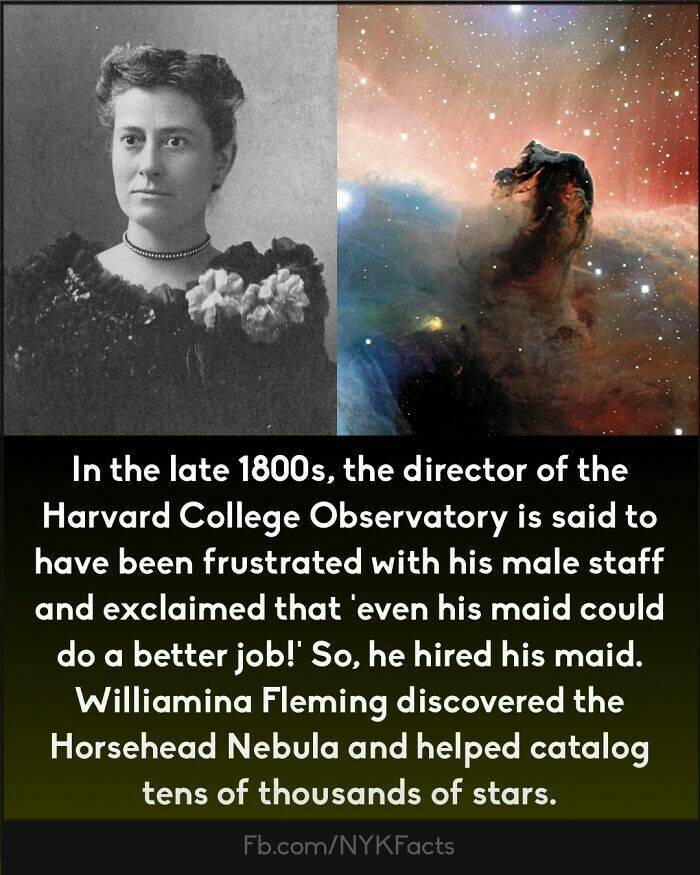 Too Interesting To Ignore: Random Facts That Will Wow You