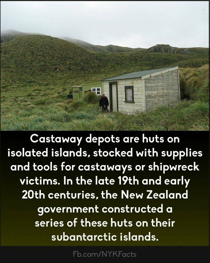 Too Interesting To Ignore: Random Facts That Will Wow You