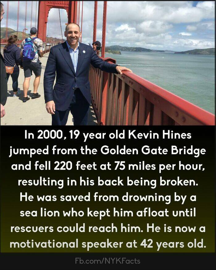 Too Interesting To Ignore: Random Facts That Will Wow You