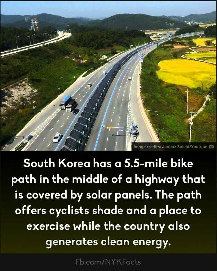 Too Interesting To Ignore: Random Facts That Will Wow You
