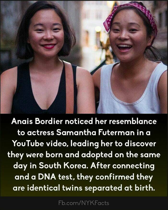 Too Interesting To Ignore: Random Facts That Will Wow You