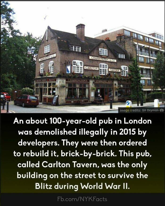 Too Interesting To Ignore: Random Facts That Will Wow You