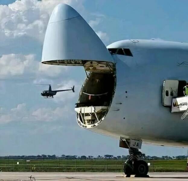 Unusual And Fascinating Things Worth A Look