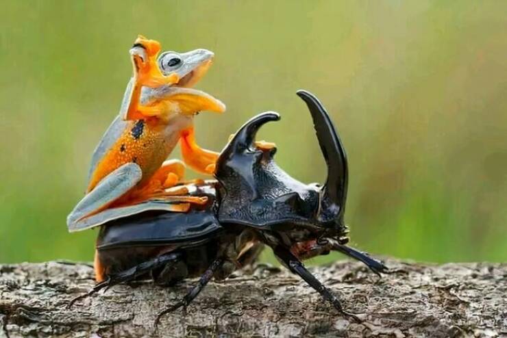 Unusual And Fascinating Things Worth A Look