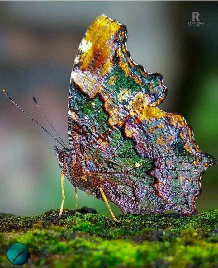 Unusual And Fascinating Things Worth A Look