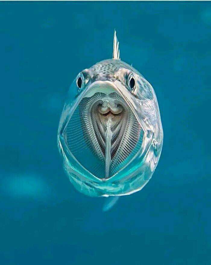 Unusual And Fascinating Things Worth A Look