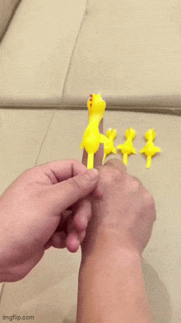 Daily Gifdump
