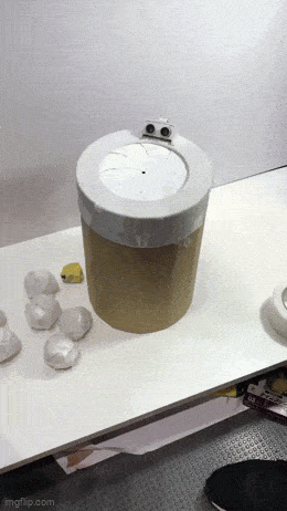 Daily Gifdump