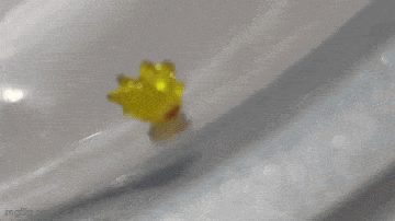 Daily Gifdump