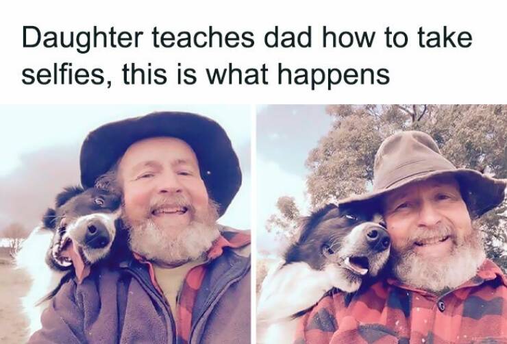 Paw-some Dog Memes To Brighten Your Day