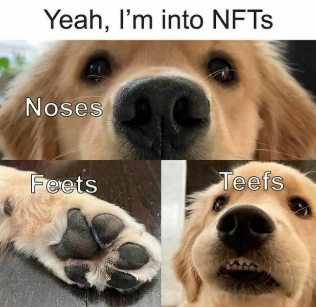 Paw-some Dog Memes To Brighten Your Day