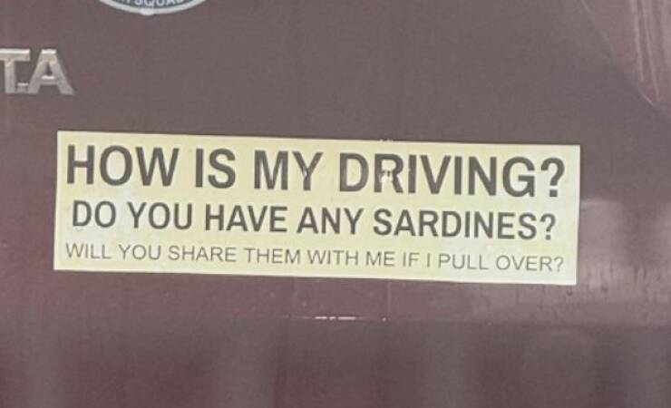 Bumper Sticker “Humor”