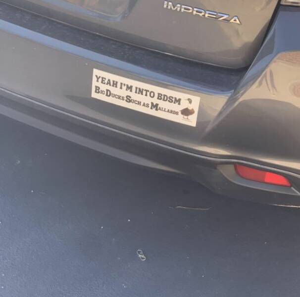 Bumper Sticker “Humor”