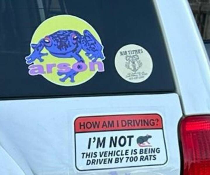 Bumper Sticker “Humor”