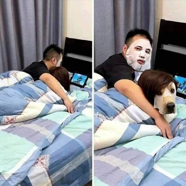 The Funniest And Quirkiest Pics The Internet Has To Offer