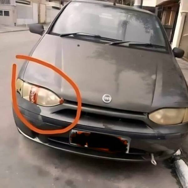 The Funniest And Quirkiest Pics The Internet Has To Offer