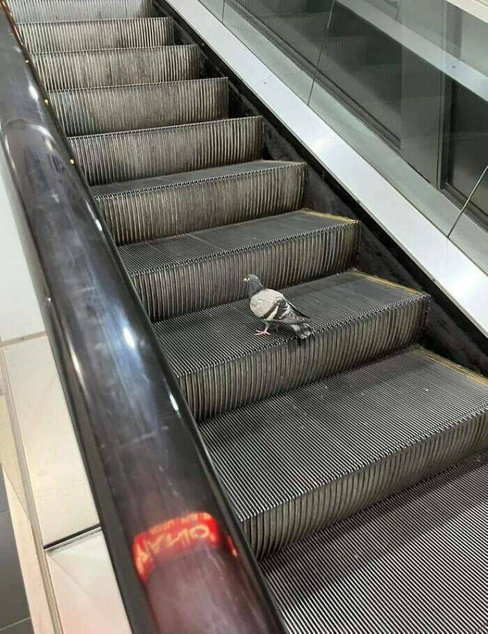 The Funniest And Quirkiest Pics The Internet Has To Offer