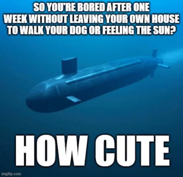 Submarine Humor: Memes From The Deep