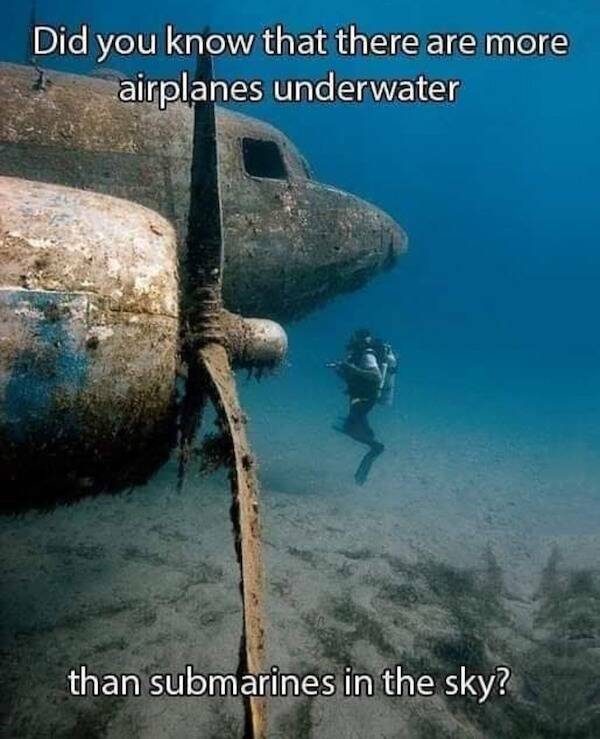 Submarine Humor: Memes From The Deep