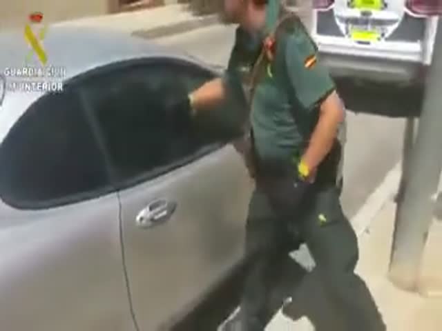 Rescuing A Dog That Was Left In A Car