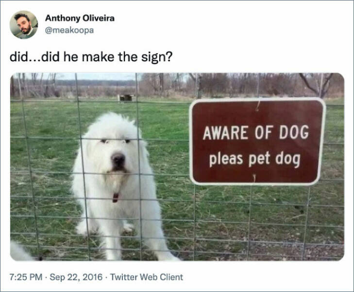 The Funniest Dog Posts On The Internet