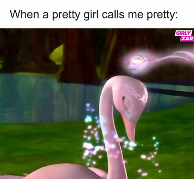 Memes That Any Girl Can Relate To