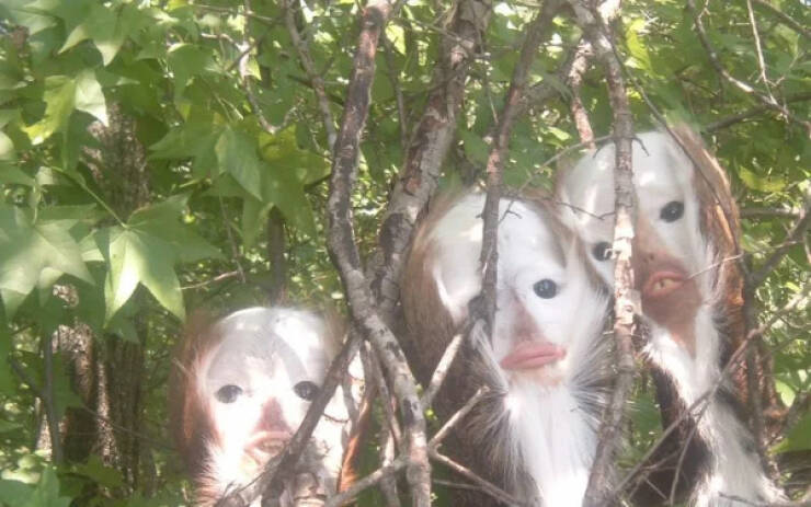 Eerie Images That Will Send Shivers Down Your Spine