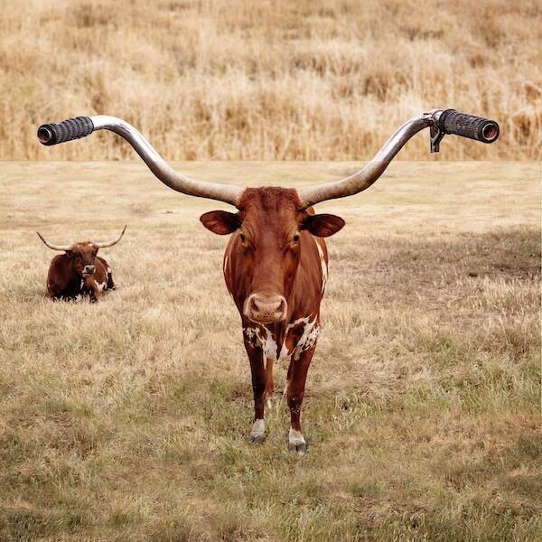 Stephen McMennamy’s Surreal And Creative Photo Combinations