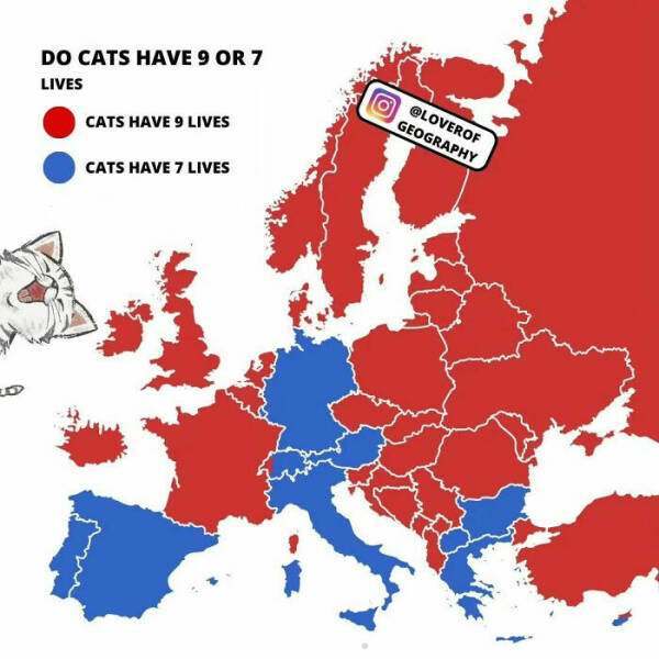 Amusing Yet Informative Charts To Explore