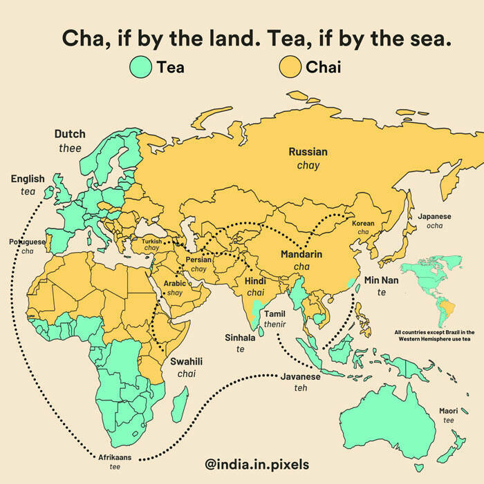 Amusing Yet Informative Charts To Explore