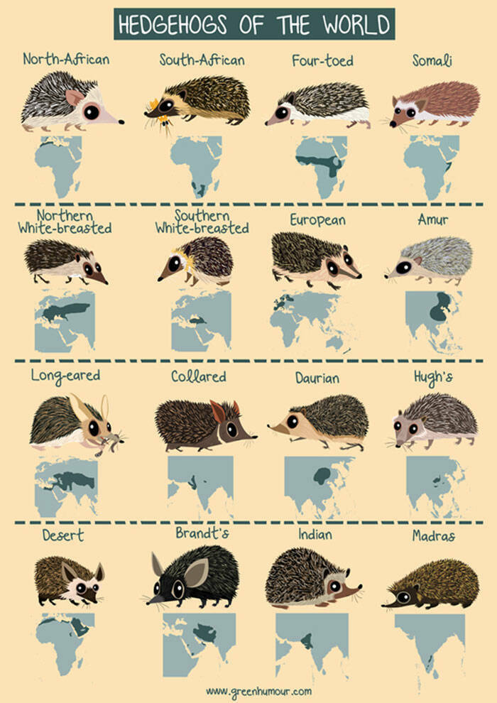 Amusing Yet Informative Charts To Explore