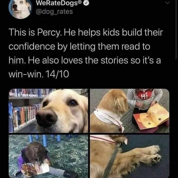 Heartwarming Moments To Bring A Smile To Your Face