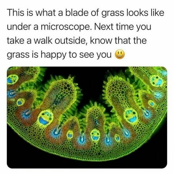 Heartwarming Moments To Bring A Smile To Your Face