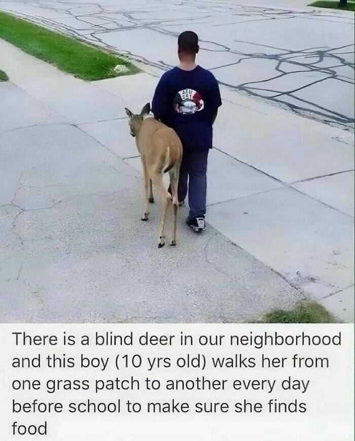 Heartwarming Moments To Bring A Smile To Your Face