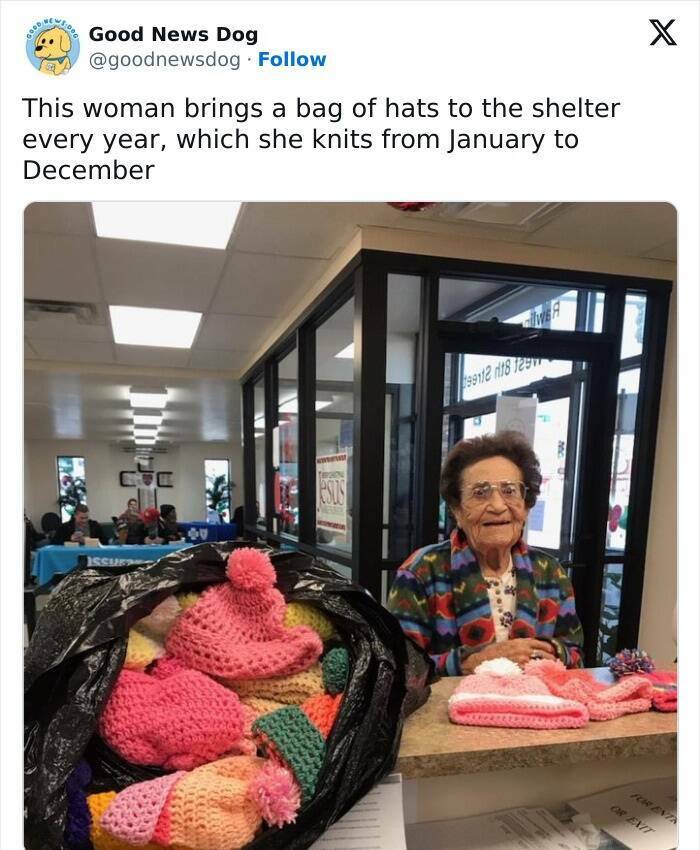 Heartwarming Moments To Bring A Smile To Your Face