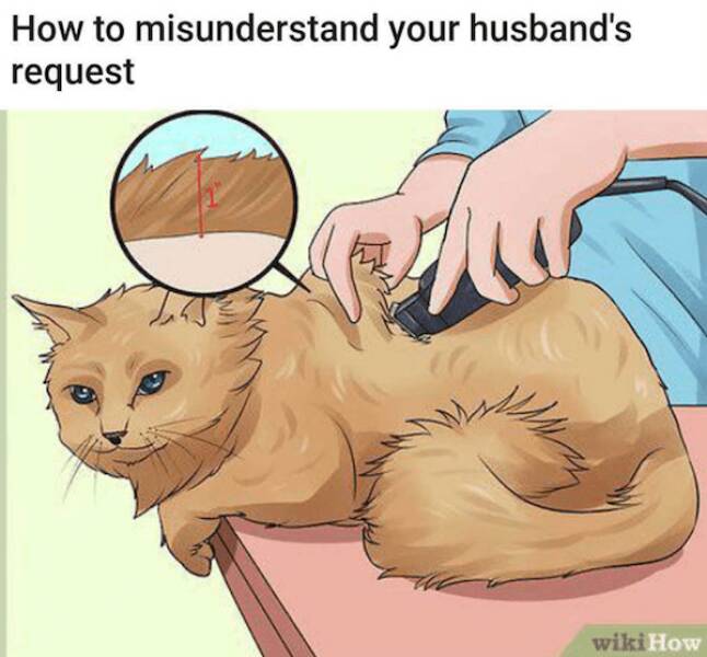 The Funniest WikiHow Captions That Are Surprisingly Perfect