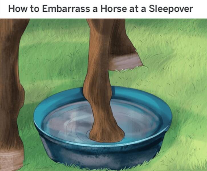 The Funniest WikiHow Captions That Are Surprisingly Perfect