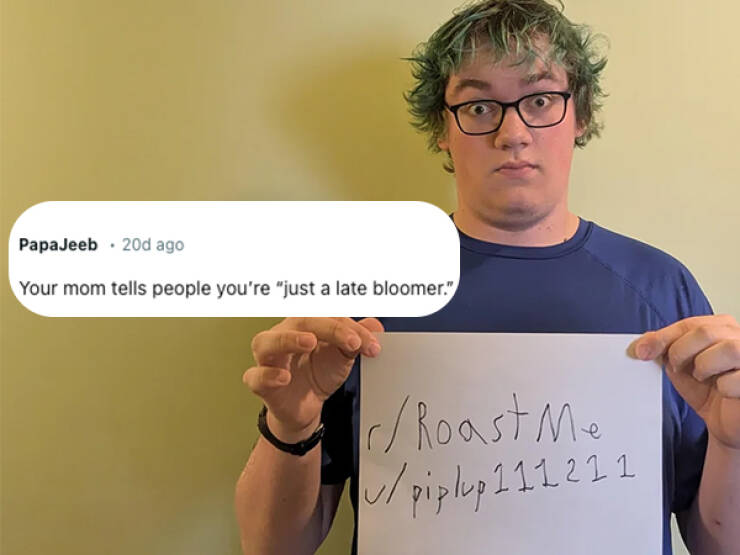 Epic Online Roasts That Left People Speechless