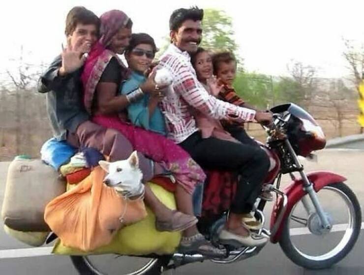 Funny Images Highlighting India’s Bizarre Moments