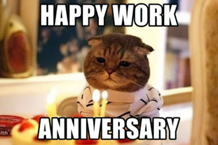 Work Anniversary Memes That Every Employee Can Relate To