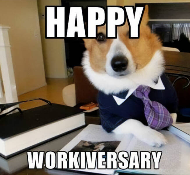 Work Anniversary Memes That Every Employee Can Relate To