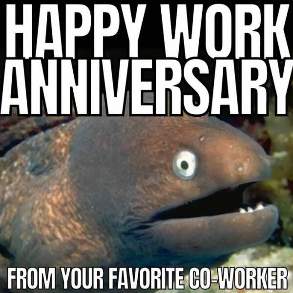 Work Anniversary Memes That Every Employee Can Relate To