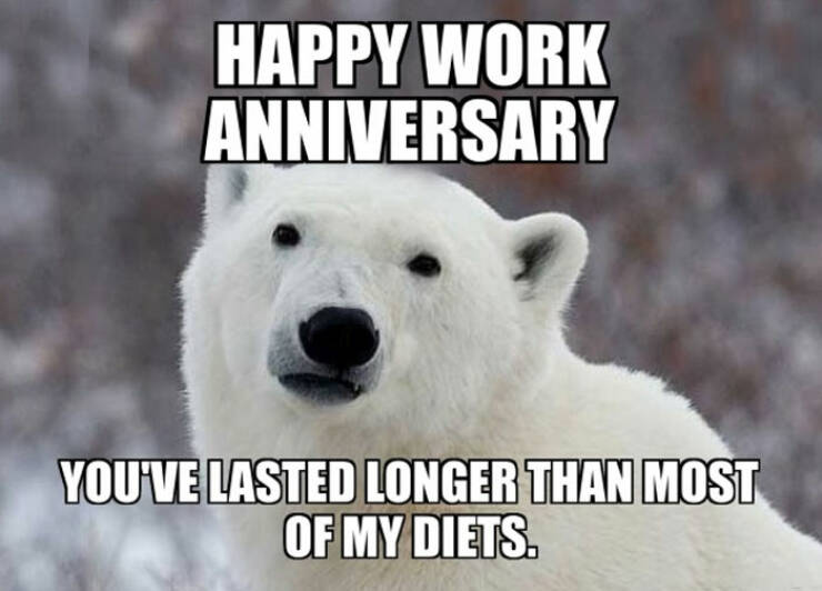 Work Anniversary Memes That Every Employee Can Relate To