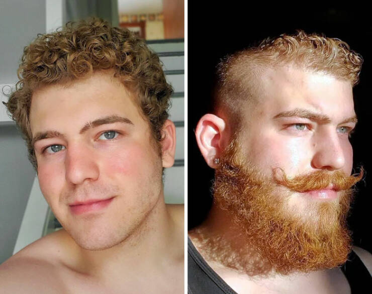 Beard Transformations That Will Make You Rethink Shaving