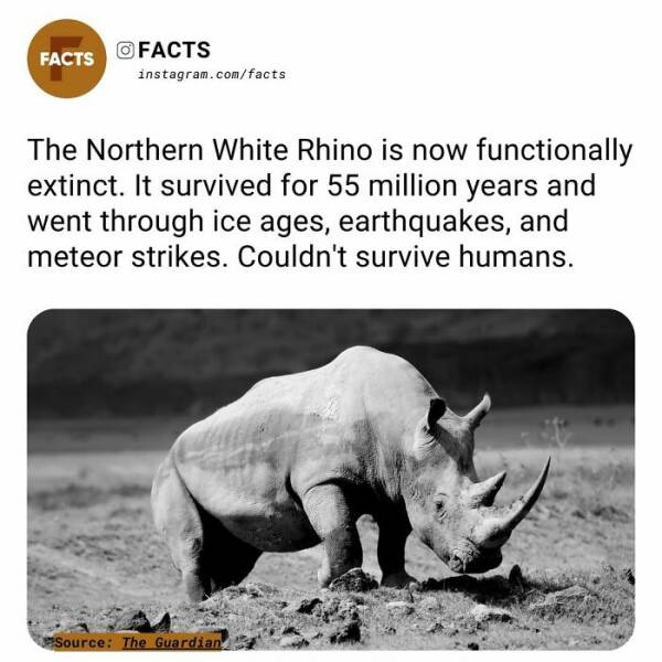 Intriguing Facts That Will Capture Your Curiosity