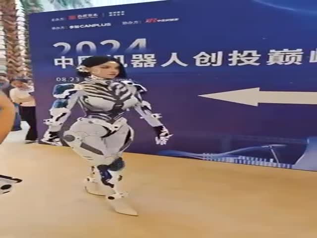 Video From The World Robotics Conference In Beijing