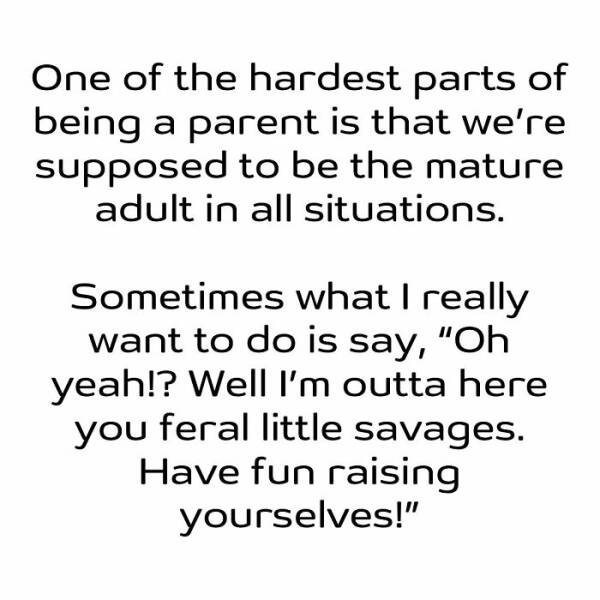 Memes That Perfectly Sum Up The Madness Of Parenting